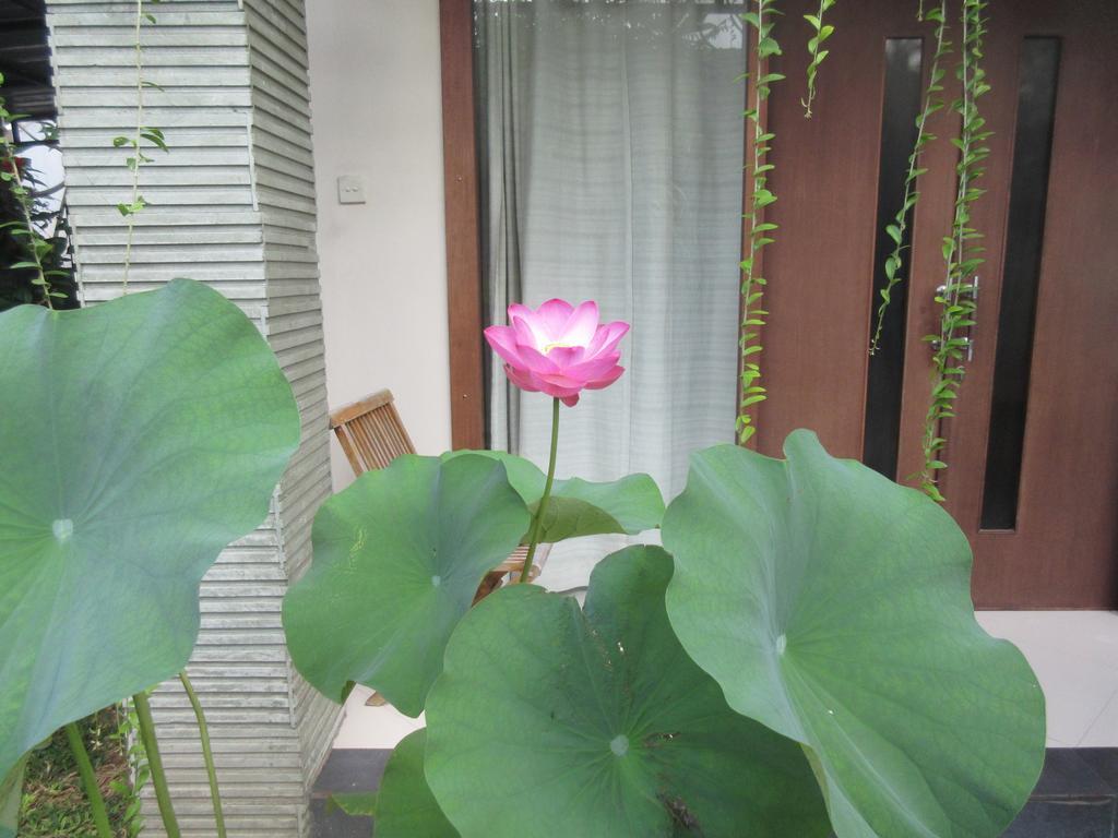 Rika Sanur Homestay Экстерьер фото